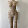 Leopard print series women's skin color print leopard print jumpsuit stockings sexy lingerie mesh clothing