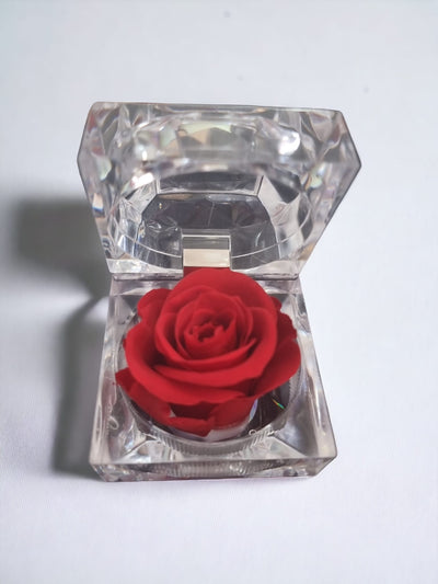 Preserved Red Rose in Glass Acrylic Box - A Perfect Valentine's Day