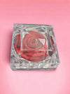 Preserved Red Rose in Glass Acrylic Box - A Perfect Valentine's Day