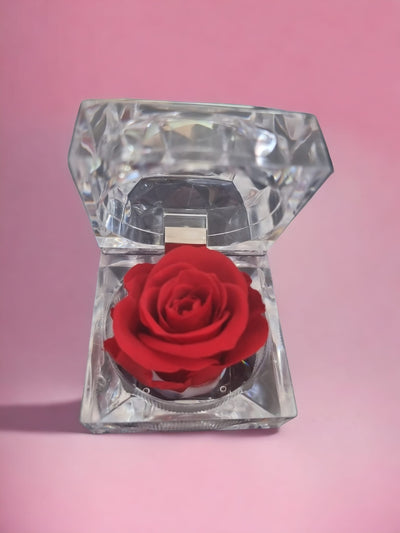 Preserved Red Rose in Glass Acrylic Box - A Perfect Valentine's Day